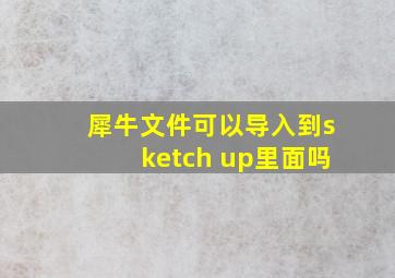 犀牛文件可以导入到sketch up里面吗